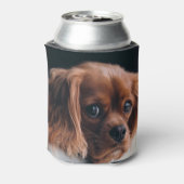 Ruby Cavalier King Charles Spaniel Dog Blikjeskoeler (Blikje Achterkant)