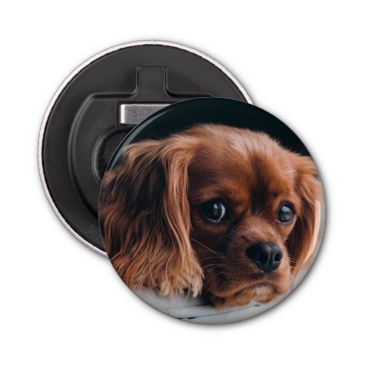 Ruby Cavalier King Charles Spaniel Dog Button Flesopener (Voorkant)