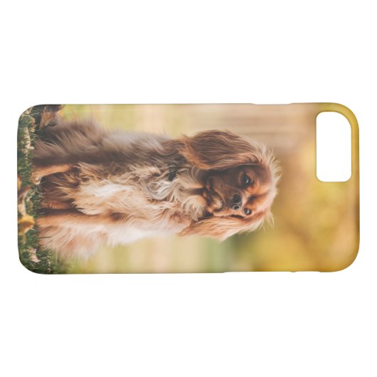 Ruby Cavalier King Charles Spaniel Dog Case-Mate iPhone Case (Achterkant (Horizontaal))