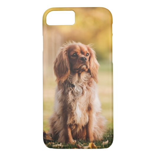 Ruby Cavalier King Charles Spaniel Dog Case-Mate iPhone Case (Achterkant)
