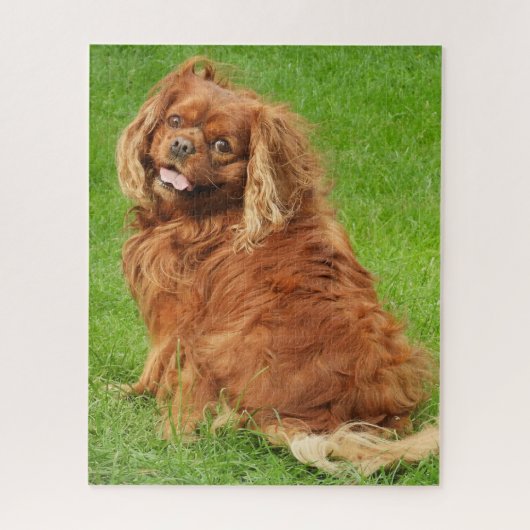 Ruby Cavalier King Charles Spaniel Dog Jigzaag Puz Legpuzzel (Verticaal)