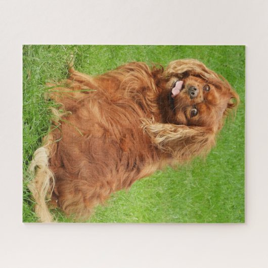 Ruby Cavalier King Charles Spaniel Dog Jigzaag Puz Legpuzzel (Horizontaal)