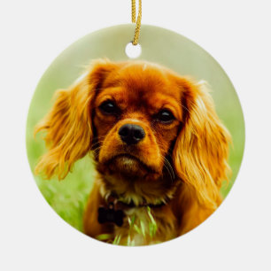 Ruby Cavalier King Charles Spaniel Dog Keramisch Ornament