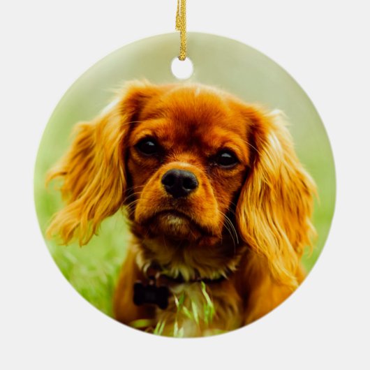 Ruby Cavalier King Charles Spaniel Dog Keramisch Ornament (Achterkant)