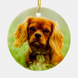Ruby Cavalier King Charles Spaniel Dog Keramisch Ornament