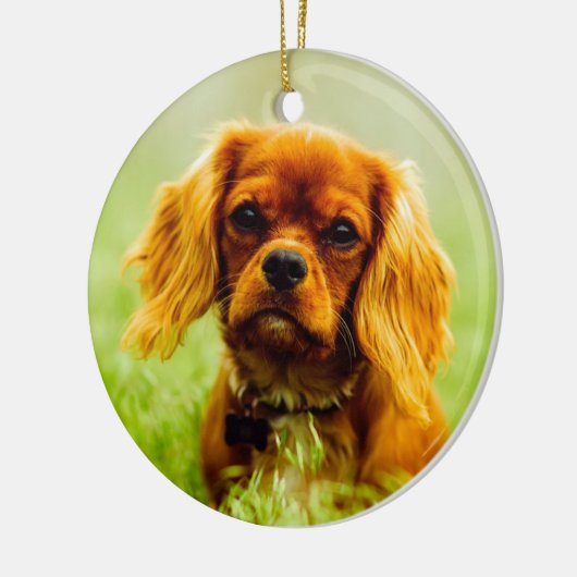 Ruby Cavalier King Charles Spaniel Dog Keramisch Ornament (Links)