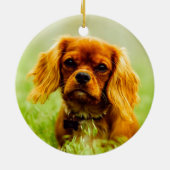 Ruby Cavalier King Charles Spaniel Dog Keramisch Ornament (Achterkant)