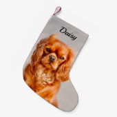 Ruby Cavalier King Charles Spaniel Dog Kleine Kerstsok (Voorkant (Hangend))