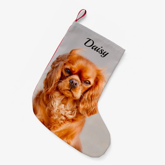 Ruby Cavalier King Charles Spaniel Dog Kleine Kerstsok (Voorkant (Hangend))