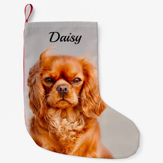 Ruby Cavalier King Charles Spaniel Dog Kleine Kerstsok (Voorkant)