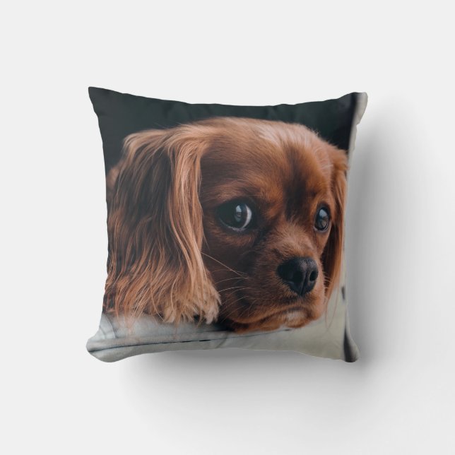 Ruby Cavalier King Charles Spaniel Dog Kussen (Voorkant)