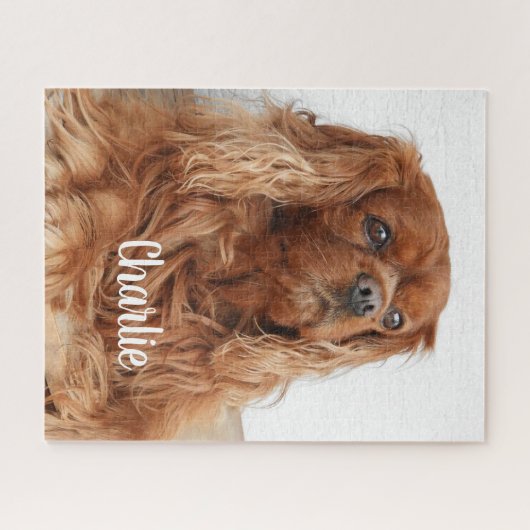 Ruby Cavalier King Charles Spaniel Dog Legpuzzel (Horizontaal)