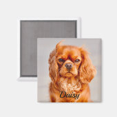 Ruby Cavalier King Charles Spaniel Dog Magneet (Voorkant / Achterkant)