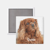 Ruby Cavalier King Charles Spaniel Dog Magnet (Voorkant / Achterkant)