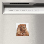 Ruby Cavalier King Charles Spaniel Dog Magnet (Insitu (Vaatwasser))