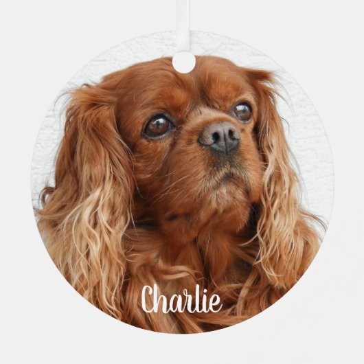 Ruby Cavalier King Charles Spaniel Dog Metalen Ornament (Achterkant)