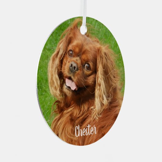 Ruby Cavalier King Charles Spaniel Dog Metalen Ornament (Voorkant Rechts)