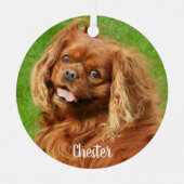 Ruby Cavalier King Charles Spaniel Dog Metalen Ornament (Voorkant)