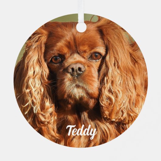 Ruby Cavalier King Charles Spaniel Dog Metalen Ornament (Achterkant)