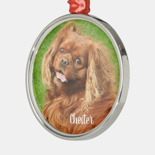 Ruby Cavalier King Charles Spaniel Dog Metalen Ornament (Links)
