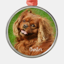 Ruby Cavalier King Charles Spaniel Dog Metalen Ornament