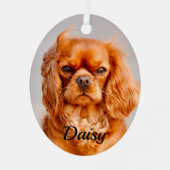 Ruby Cavalier King Charles Spaniel Dog Metalen Ornament (Voorkant)