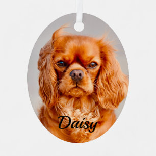Ruby Cavalier King Charles Spaniel Dog Metalen Ornament