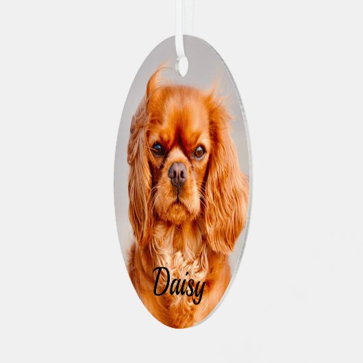Ruby Cavalier King Charles Spaniel Dog Metalen Ornament (Voorkant links)
