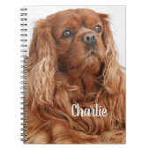 Ruby Cavalier King Charles Spaniel Dog Notitieboek (Voorkant)