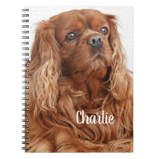 Ruby Cavalier King Charles Spaniel Dog Notitieboek (Voorkant)