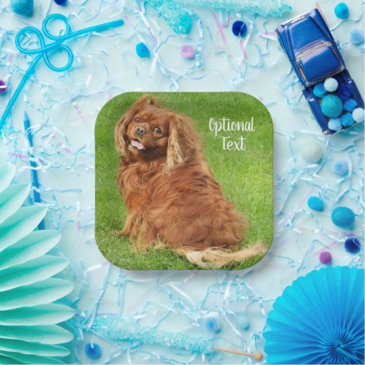 Ruby Cavalier King Charles Spaniel Dog Papieren Bordje (Feest)