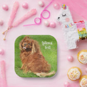 Ruby Cavalier King Charles Spaniel Dog Papieren Bordje (Feest)