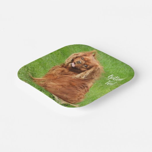 Ruby Cavalier King Charles Spaniel Dog Papieren Bordje (Gebogen)