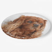 Ruby Cavalier King Charles Spaniel Dog Papieren Bordje (Gekanteld)