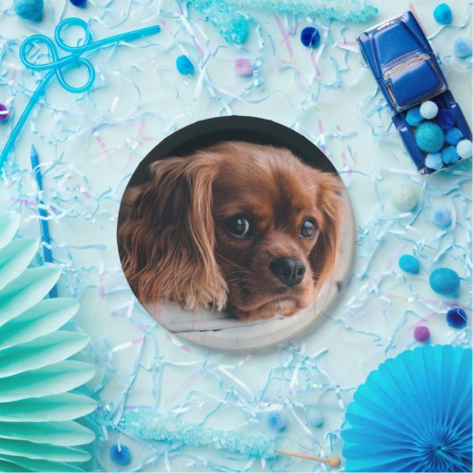 Ruby Cavalier King Charles Spaniel Dog Papieren Bordje (Feest)