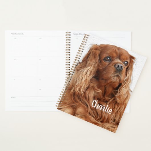 Ruby Cavalier King Charles Spaniel Dog Planner (Display)