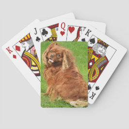 Ruby Cavalier King Charles Spaniel Dog Pokerkaarten