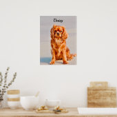 Ruby Cavalier King Charles Spaniel Dog Poster (Keuken)