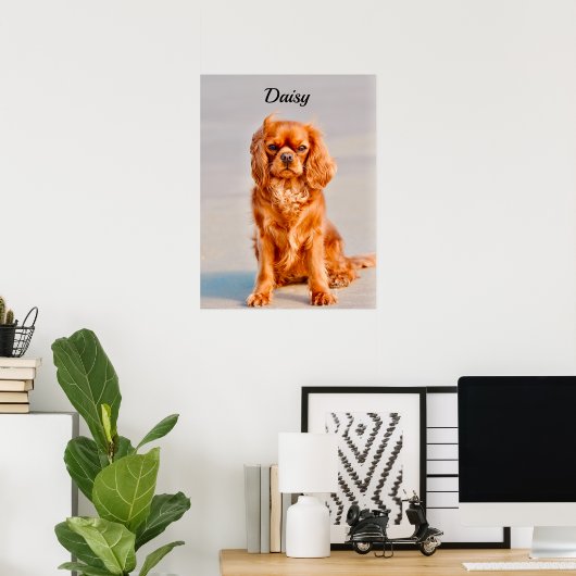 Ruby Cavalier King Charles Spaniel Dog Poster (Thuiskantoor)