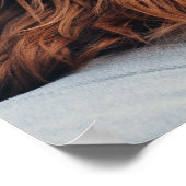 Ruby Cavalier King Charles Spaniel Dog Poster (Hoek)