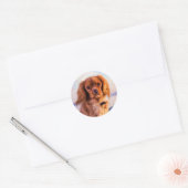 Ruby Cavalier King Charles Spaniel Dog Ronde Sticker (Envelop)