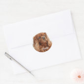Ruby Cavalier King Charles Spaniel Dog Ronde Sticker (Envelop)
