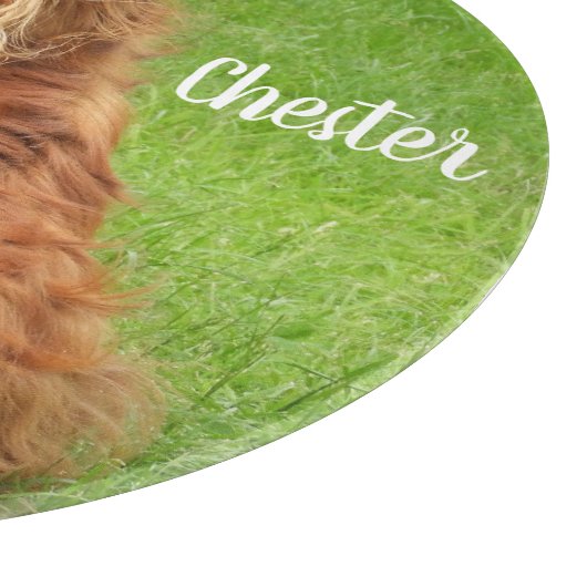 Ruby Cavalier King Charles Spaniel Dog Snijplank (Hoek)