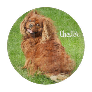 Ruby Cavalier King Charles Spaniel Dog Snijplank