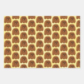 Ruby Cavalier King Charles Spaniel Gift Inpakpapier Vel (Voorkant 3)