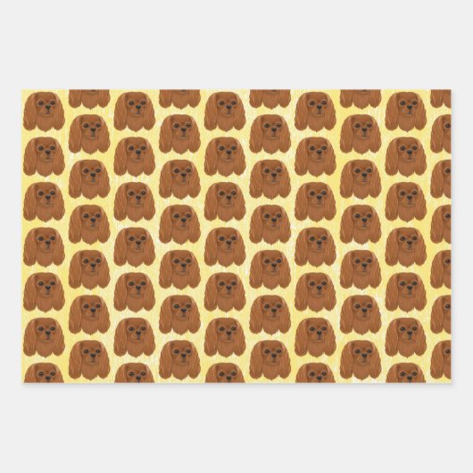 Ruby Cavalier King Charles Spaniel Gift Inpakpapier Vel (Voorkant 3)