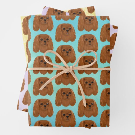 Ruby Cavalier King Charles Spaniel Gift Inpakpapier Vel (In situ)