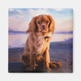 Ruby Cavalier King Charles Spaniel in de zonsonder Magneet