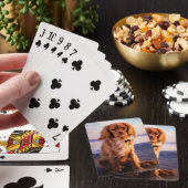 Ruby Cavalier King Charles Spaniel in de zonsonder Pokerkaarten (Insitu)