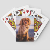 Ruby Cavalier King Charles Spaniel in de zonsonder Pokerkaarten (Achterkant)